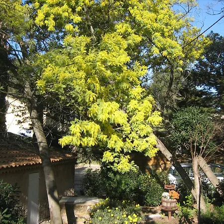 别墅 Maison Des Oliviers